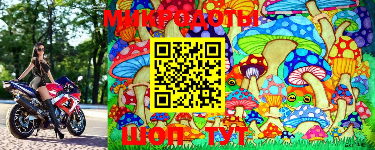 Галлюциногенные грибы MAGIC MUSHROOMS Ртищево